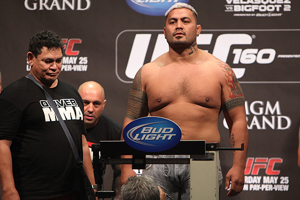 UFC Fight Night 52: Hunt vs. Nelson Weigh-in Video and Results