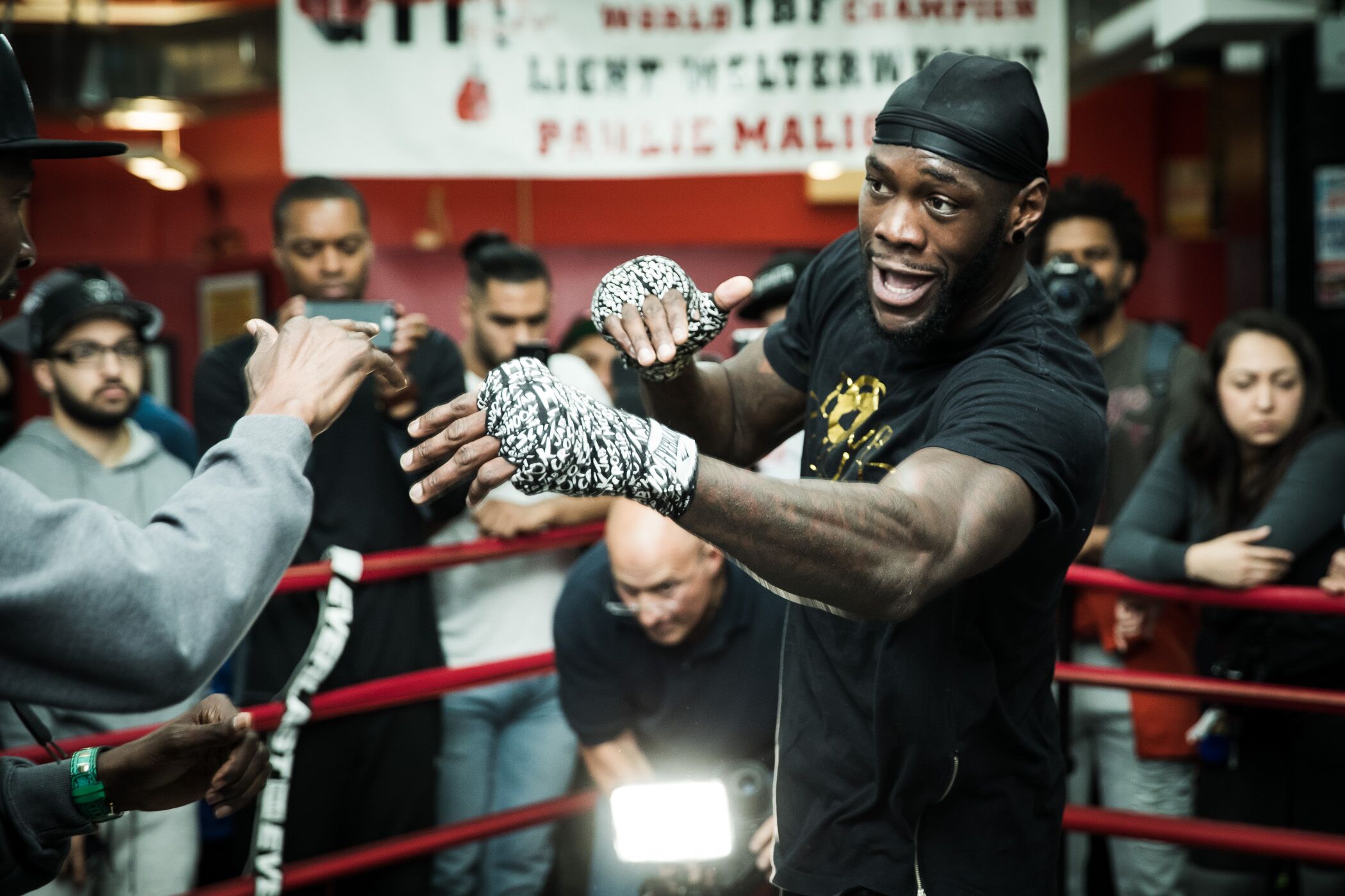 Showtime Boxing: Wilder vs. Stiverne 2 Results2100 x 1400