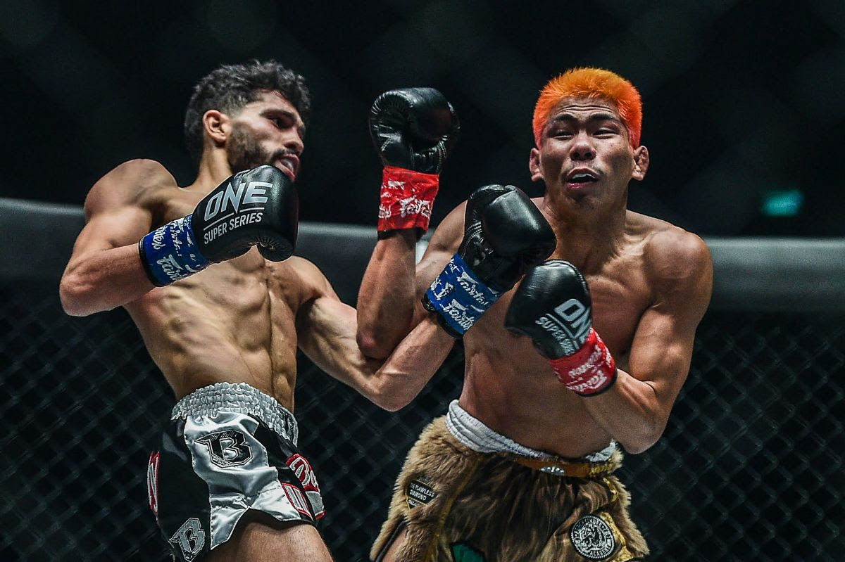 Kickboxen Muay Thai MMA Freefight BP-LK Twins Körper und Oberschenkelschutz 