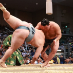 Sumo wrestler Hoshoryu throws down Oshoma at the 2024 Kyushu Basho.