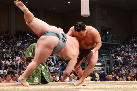 Sumo wrestler Hoshoryu throws down Oshoma at the 2024 Kyushu Basho.