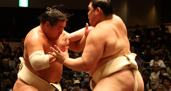 Sumo wrestlers Hoshoryu (left) and Onosato clash during an all stables practise in May 2025.